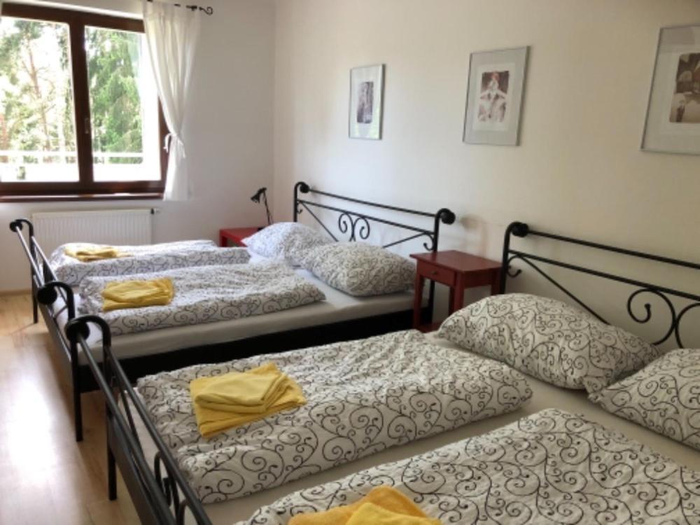 Apartmany Lipno Boucek Lipno nad Vltavou Exterior photo